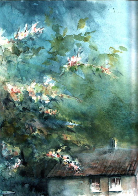 Die ersten Blten, Aquarell - Jens Weule