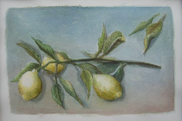 Stilleben mit Zitronen, Aquarell - Jens Weule 2009