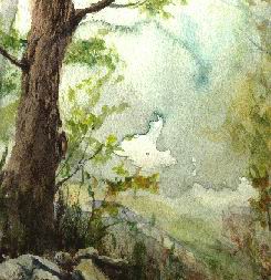 Bild 5 im Wald. Aquarell © 1999